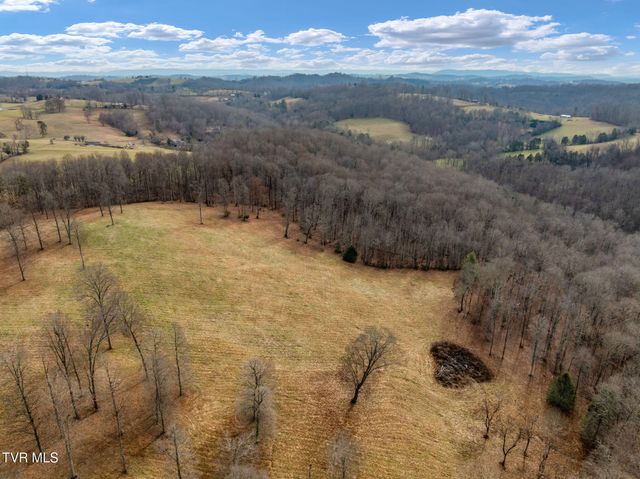 393 Holt Ridge Road, Tazewell, TN 37879