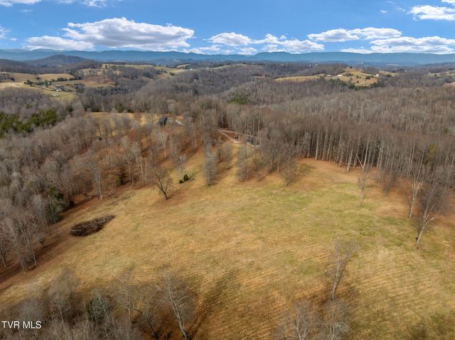393 Holt Ridge Road, Tazewell, TN 37879