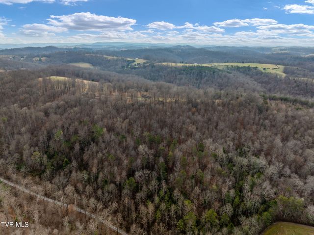 393 Holt Ridge Road, Tazewell, TN 37879