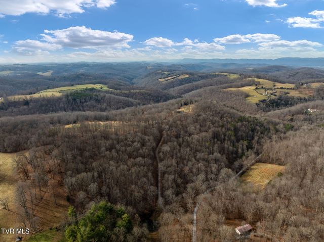 393 Holt Ridge Road, Tazewell, TN 37879