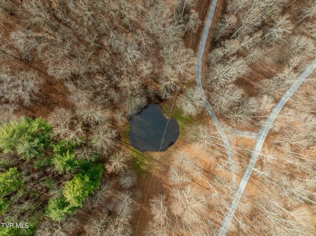 393 Holt Ridge Road, Tazewell, TN 37879