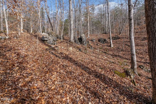 393 Holt Ridge Road, Tazewell, TN 37879