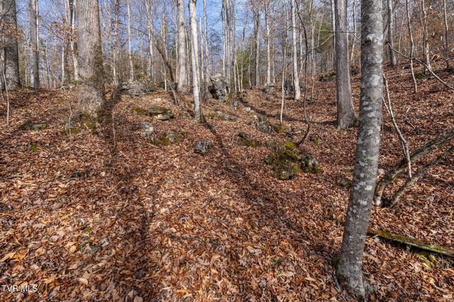 393 Holt Ridge Road, Tazewell, TN 37879