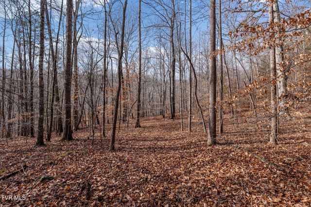 393 Holt Ridge Road, Tazewell, TN 37879