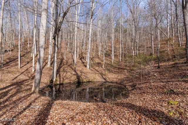 393 Holt Ridge Road, Tazewell, TN 37879