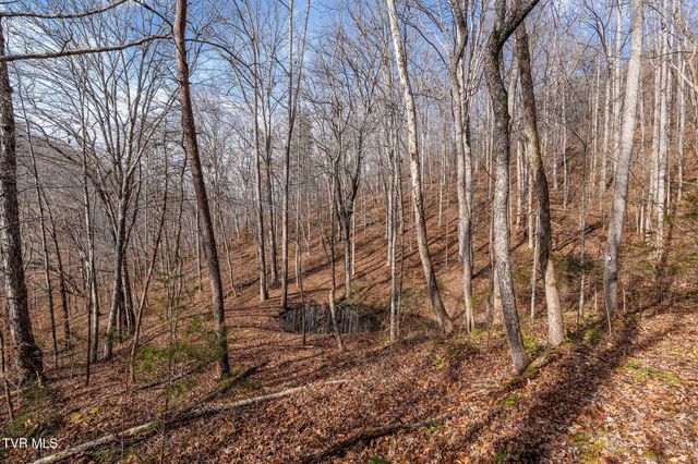 393 Holt Ridge Road, Tazewell, TN 37879