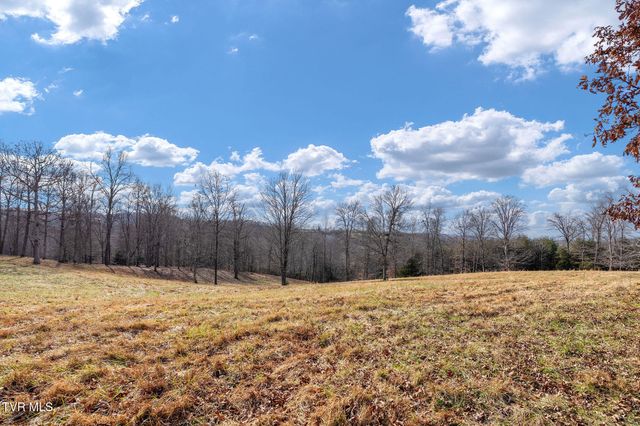 393 Holt Ridge Road, Tazewell, TN 37879