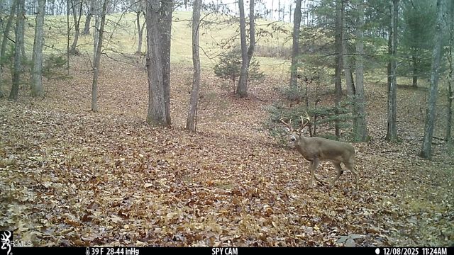 393 Holt Ridge Road, Tazewell, TN 37879