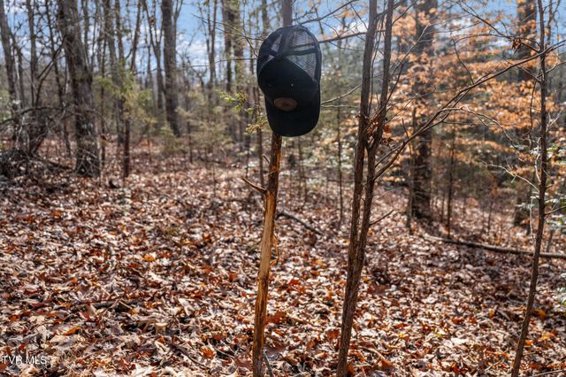 393 Holt Ridge Road, Tazewell, TN 37879