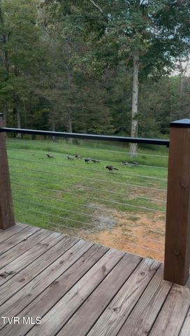 393 Holt Ridge Road, Tazewell, TN 37879