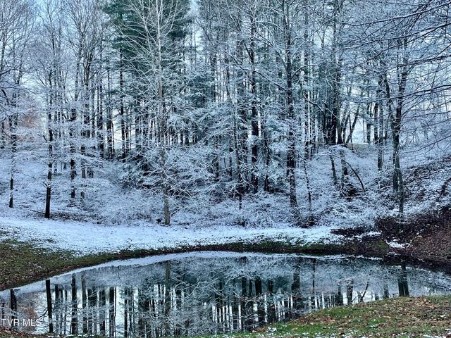 393 Holt Ridge Road, Tazewell, TN 37879