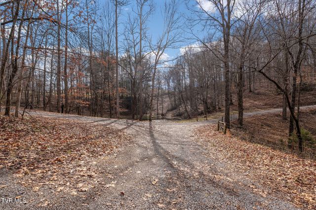 393 Holt Ridge Road, Tazewell, TN 37879