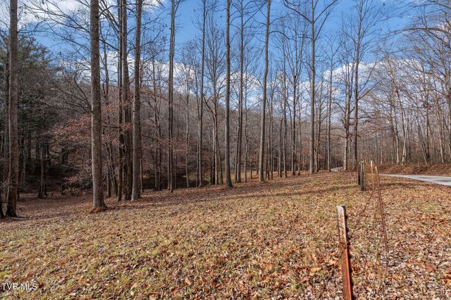 393 Holt Ridge Road, Tazewell, TN 37879