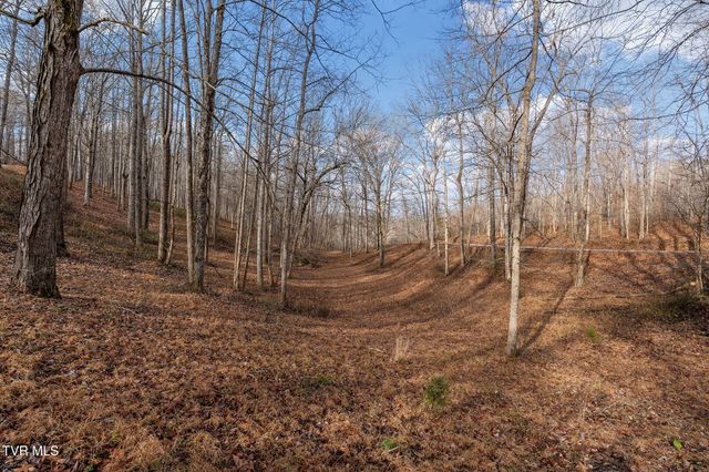 393 Holt Ridge Road, Tazewell, TN 37879