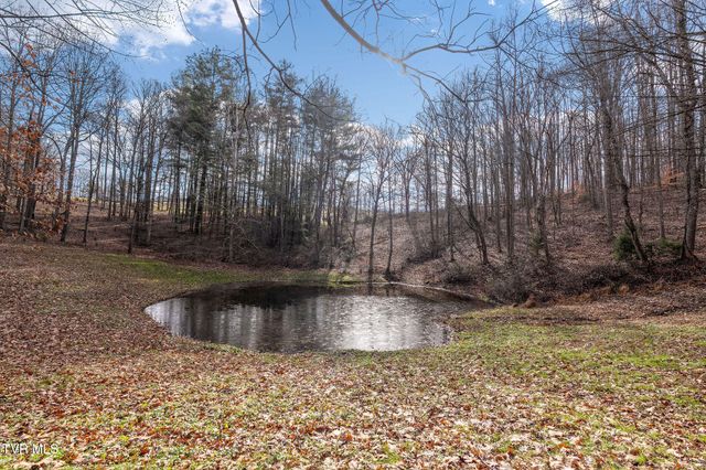 393 Holt Ridge Road, Tazewell, TN 37879