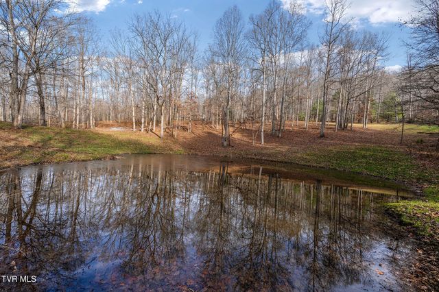 393 Holt Ridge Road, Tazewell, TN 37879