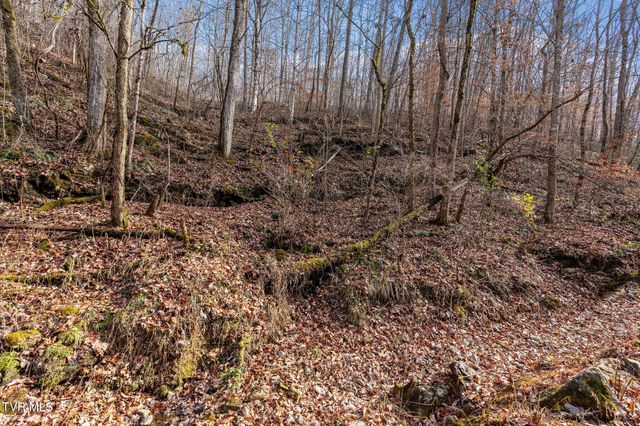 393 Holt Ridge Road, Tazewell, TN 37879