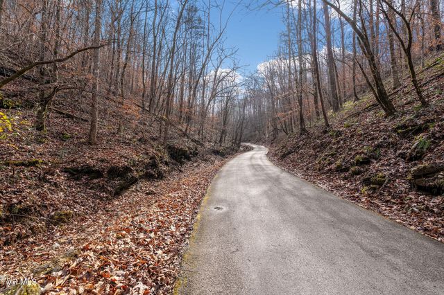 393 Holt Ridge Road, Tazewell, TN 37879