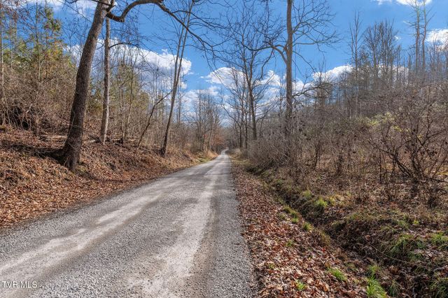 393 Holt Ridge Road, Tazewell, TN 37879