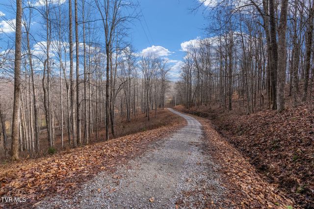 393 Holt Ridge Road, Tazewell, TN 37879