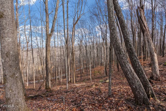 393 Holt Ridge Road, Tazewell, TN 37879