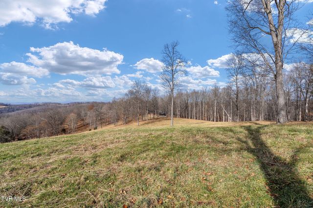 393 Holt Ridge Road, Tazewell, TN 37879
