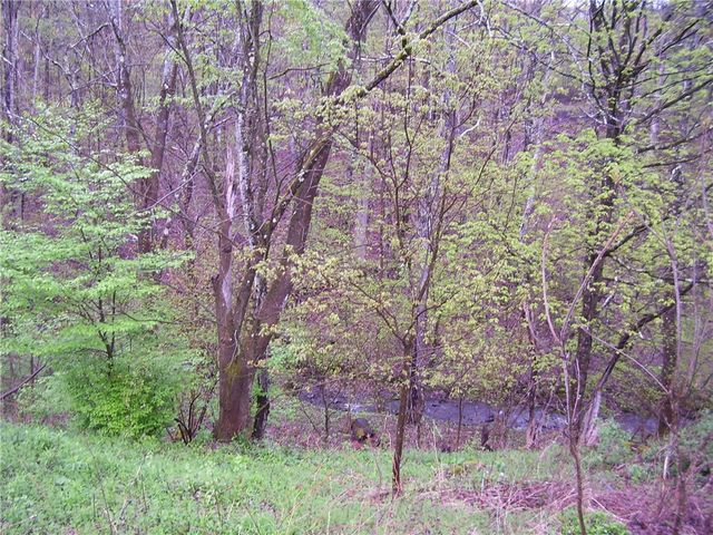 328 Whaupaunaucau Road, North Norwich, NY 13815