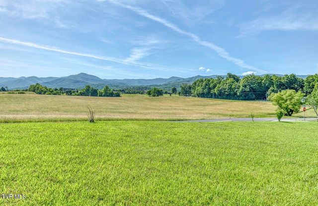 102 Greene County Line Road, Chuckey, TN 37641
