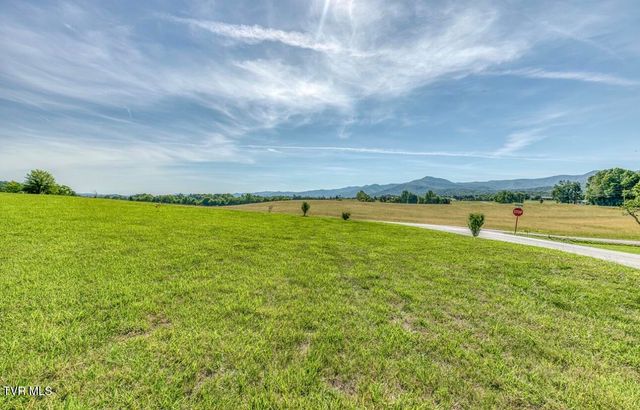 102 Greene County Line Road, Chuckey, TN 37641
