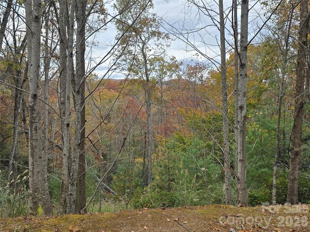 0 Shining Rock Path 17R, Mills River, NC 28742