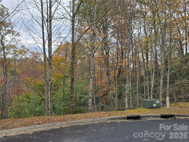 0 Shining Rock Path 17R, Mills River, NC 28742