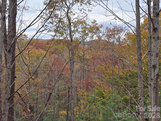 0 Shining Rock Path 17R, Mills River, NC 28742