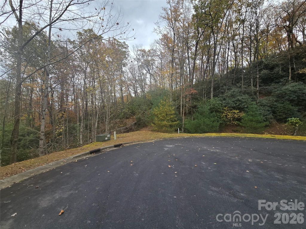 0 Shining Rock Path 17R, Mills River, NC 28742