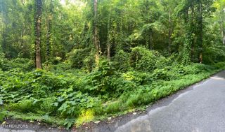 Lower Reinhart Rd, Dandridge, TN 37725