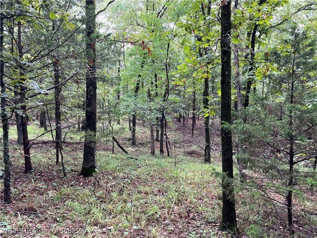 TBD 0035 Goats Bluff, Wister, OK 74966