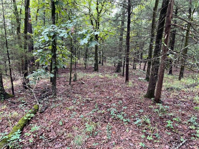 TBD 0035 Goats Bluff, Wister, OK 74966