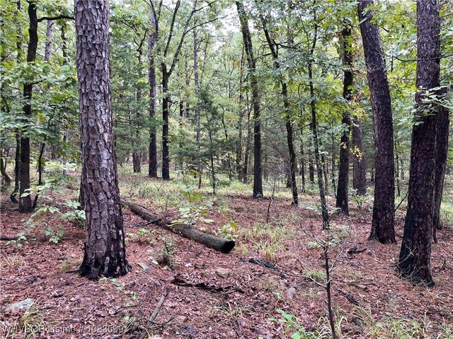 TBD 0035 Goats Bluff, Wister, OK 74966