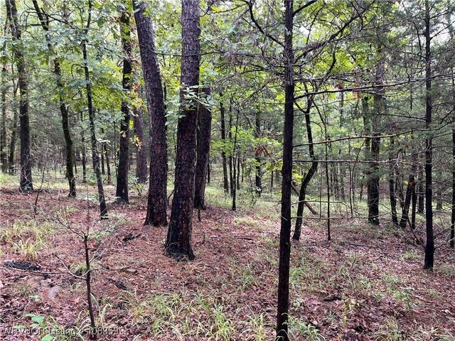 TBD 0035 Goats Bluff, Wister, OK 74966