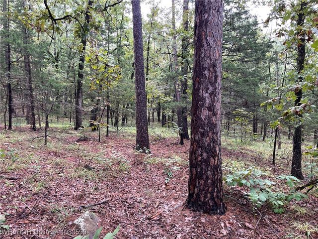 TBD 0035 Goats Bluff, Wister, OK 74966