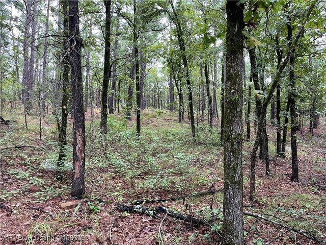 TBD 0035 Goats Bluff, Wister, OK 74966