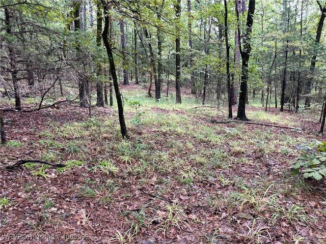 TBD 0035 Goats Bluff, Wister, OK 74966