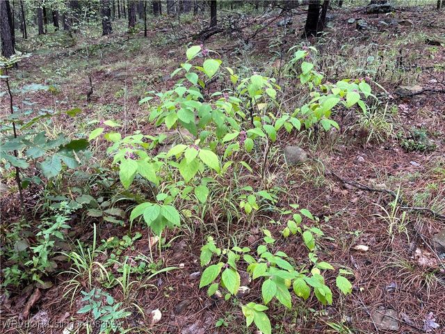 TBD 0035 Goats Bluff, Wister, OK 74966