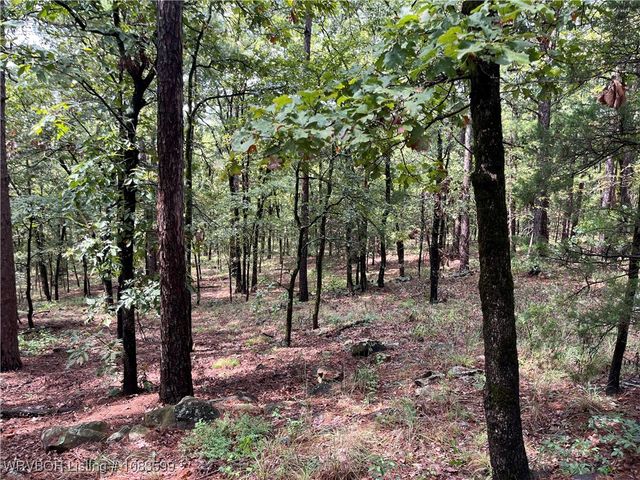 TBD 0035 Goats Bluff, Wister, OK 74966