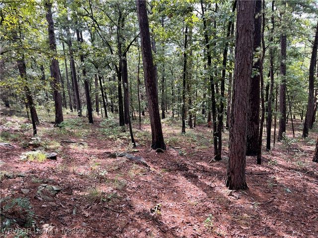 TBD 0035 Goats Bluff, Wister, OK 74966