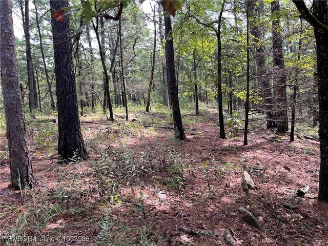 TBD 0035 Goats Bluff, Wister, OK 74966