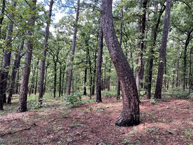 TBD 0035 Goats Bluff, Wister, OK 74966