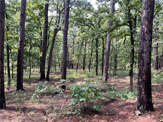 TBD 0035 Goats Bluff, Wister, OK 74966