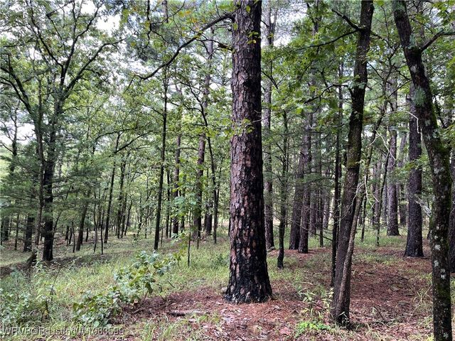 TBD 0035 Goats Bluff, Wister, OK 74966