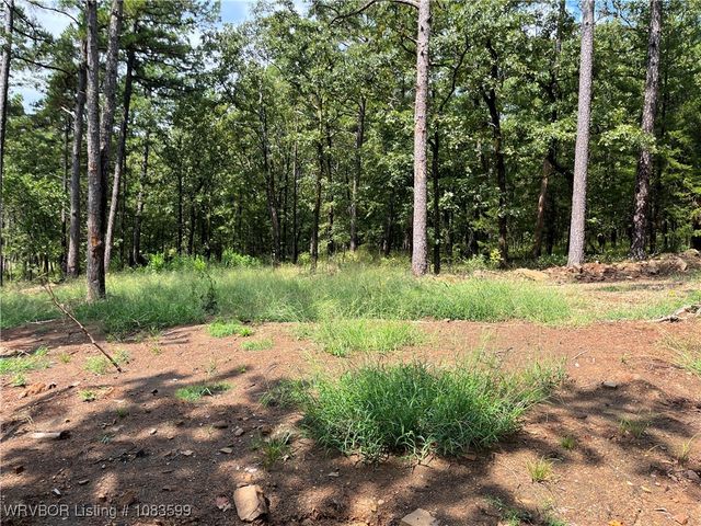 TBD 0035 Goats Bluff, Wister, OK 74966