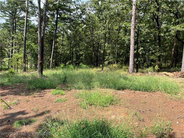 TBD 0035 Goats Bluff, Wister, OK 74966